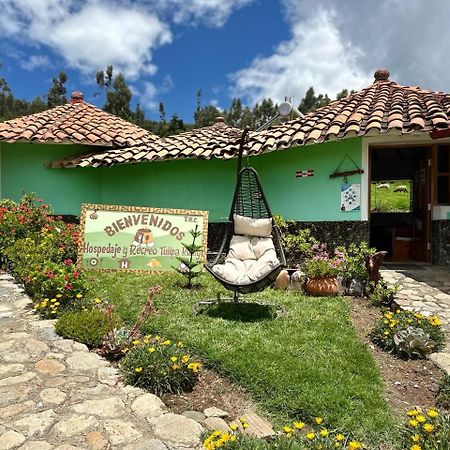 Tullpa Rumy Hotel Yungay Exterior photo